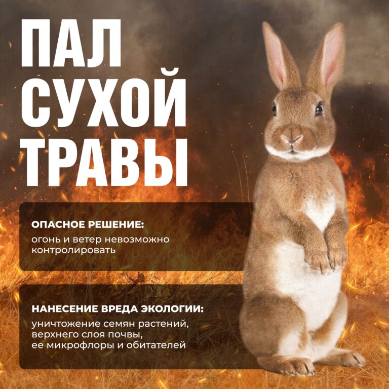 На территории Тверской области введено ограничение на…