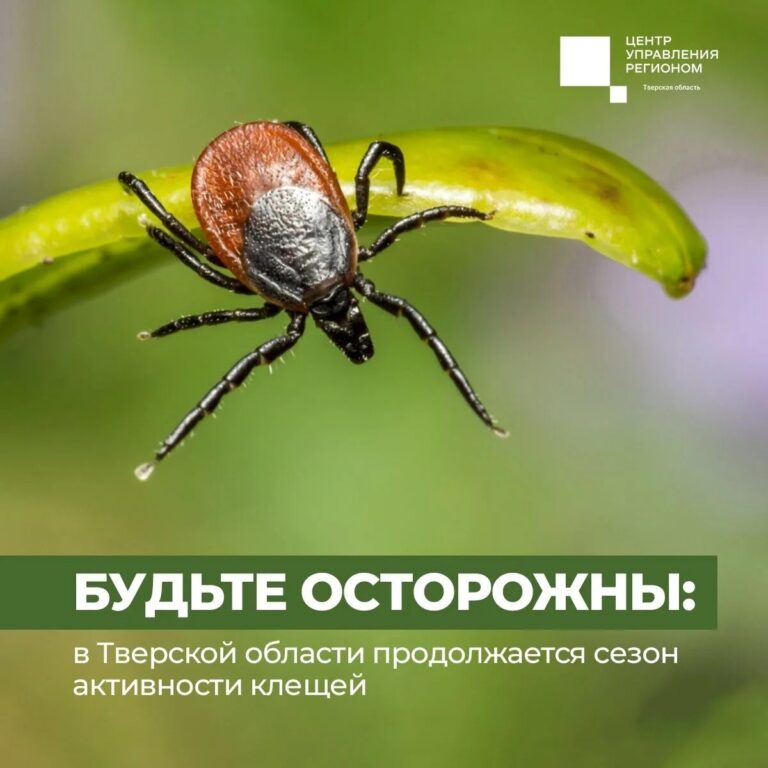 Меры предосторожности против укуса клещей С начала сезона активности…